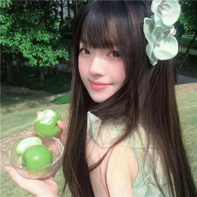 石纪元第四季